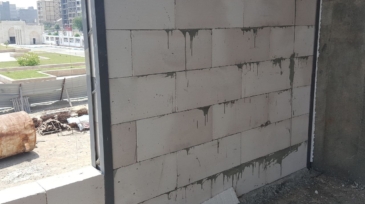 2024_11_03_14_28_IMG_1131