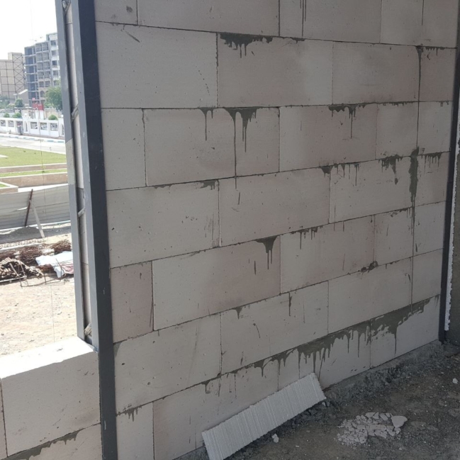 2024_11_03_14_28_IMG_1131