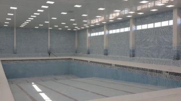 2024_11_03_14_28_IMG_1134